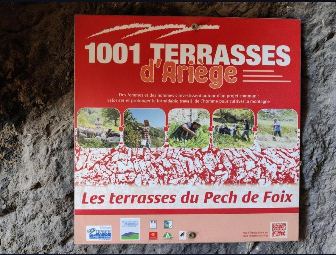 Hebergements Entiers Two Homes T1 Bas Or T1 Haut -Aux Terrasses Du Pech Foix Zewnętrze zdjęcie
